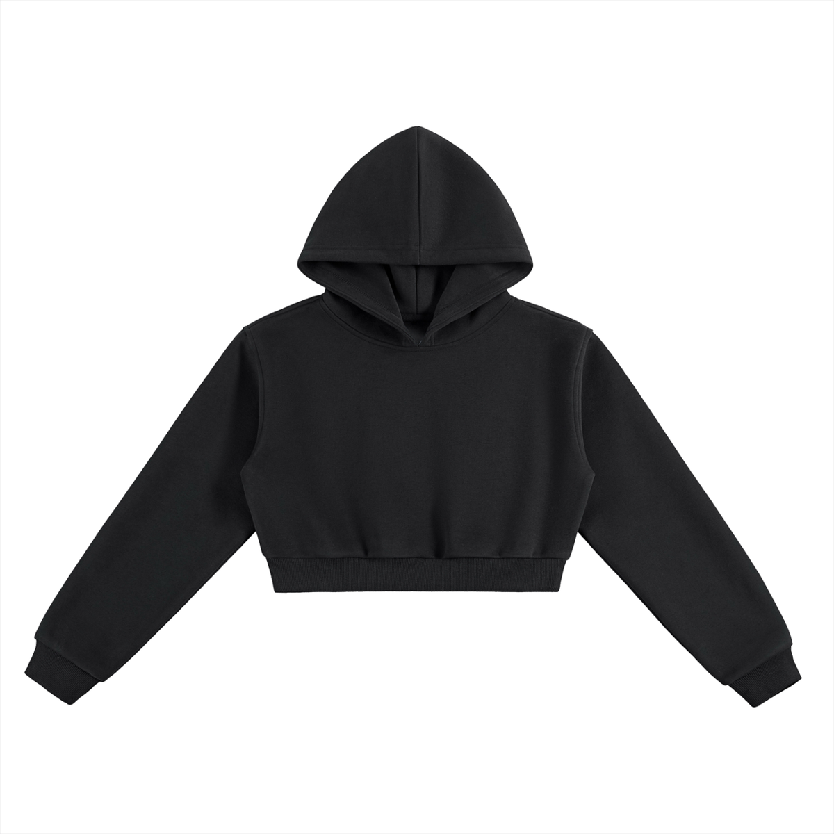 NSW Cropped Hoodie
